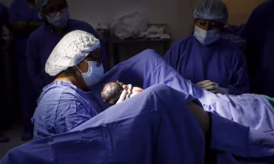 Entre las líneas que se analizan se encuentra lo ocurrido dentro del área neonatal desde el punto de vista laboral y las condiciones en las que fueron atendidos los bebés.