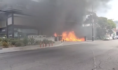 Al sitio acudieron elementos de Protección Civil de Nuevo León, Protección Civil de Monterrey, Bomberos de Nuevo León y Cruz Roja