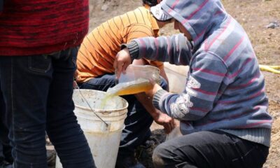Además de Nuevo León, las revisiones federales abarcan al Estado de México, Guanajuato, Puebla y Jalisco
