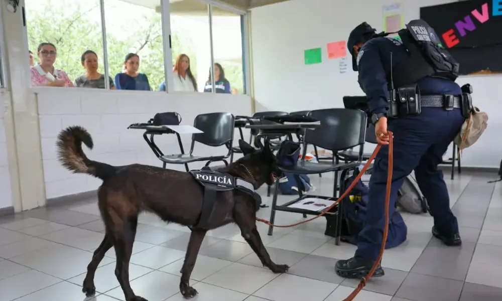 Durante la jornada, integrantes del escuadrón K9 inspeccionaron distintas áreas del plantel con apoyo de perros especializados.