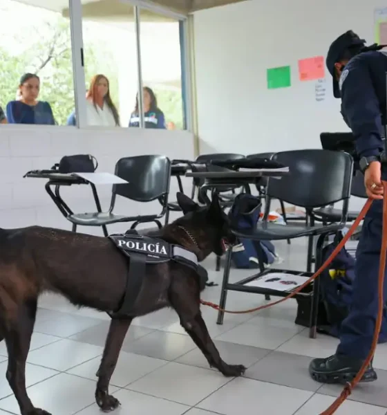 Durante la jornada, integrantes del escuadrón K9 inspeccionaron distintas áreas del plantel con apoyo de perros especializados.