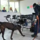 Durante la jornada, integrantes del escuadrón K9 inspeccionaron distintas áreas del plantel con apoyo de perros especializados.