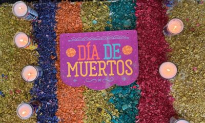 La instalación incluyó agua, alimento, juguetes, camas y correas, además de flores de cempasúchil y veladoras, elementos que representan una bienvenida simbólica para las mascotas recordadas.