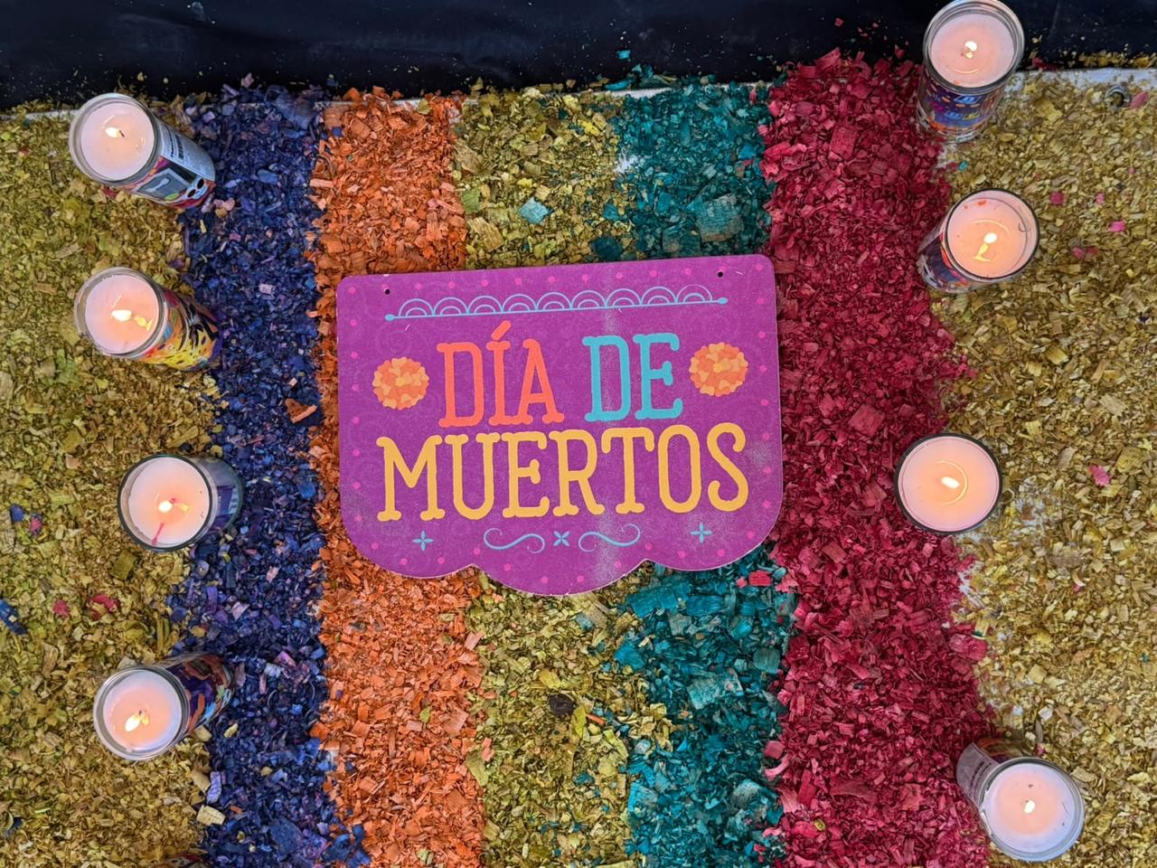 La instalación incluyó agua, alimento, juguetes, camas y correas, además de flores de cempasúchil y veladoras, elementos que representan una bienvenida simbólica para las mascotas recordadas.