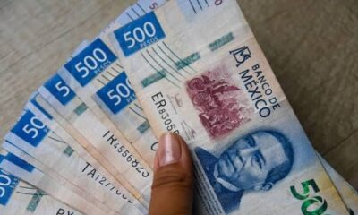 La investigación apunta a que las actividades relacionadas con la estructura criminal habrían alcanzado distintos sectores económicos, entre ellos la construcción, la crianza de caballos de carreras y el ramo energético