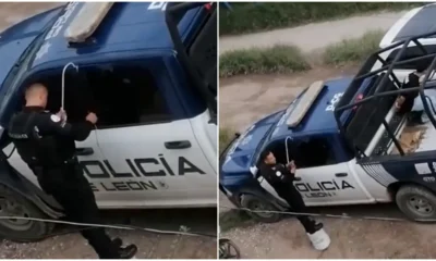 La grabación comenzó a circular en plataformas como X y TikTok, donde usuarios reaccionaron con burlas y comentarios irónicos