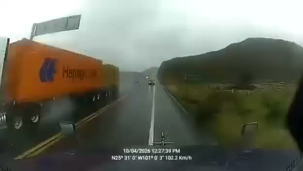 El conductor del automóvil murió prácticamente de manera instantánea y quedó atrapado entre los restos del vehículo.