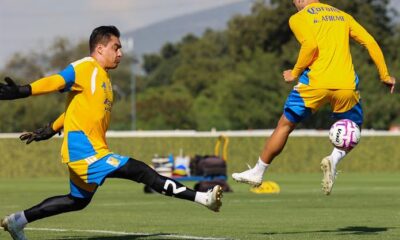 El atacante, quien se perdió el último encuentro por una molestia muscular, podría aparecer desde el inicio ante Toluca y vivir su primera titularidad con Tigres en el Estadio Universitario.