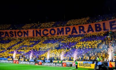 Desde su ascenso a Primera División en 1974, el equipo suma 909 partidos de temporada regular, 89 encuentros de fase final —incluidos los de Reclasificación— y uno correspondiente a la disputa por el no descenso en 1977